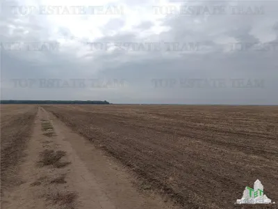 Six Parcelles Agricoles, Petrachioaia, Ilfov – 1,9€/m² - foto 6