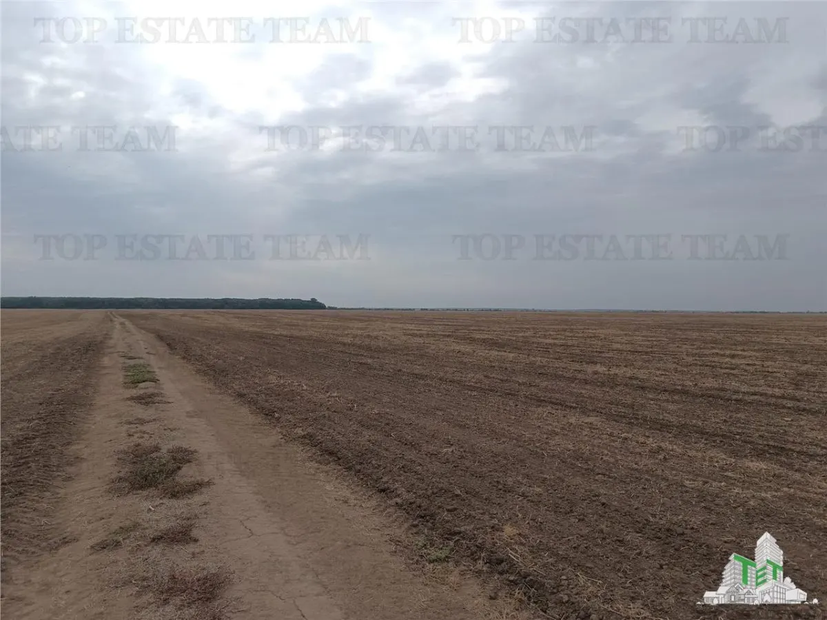 Six Parcelles Agricoles, Petrachioaia, Ilfov – 1,9€/m² - foto 6