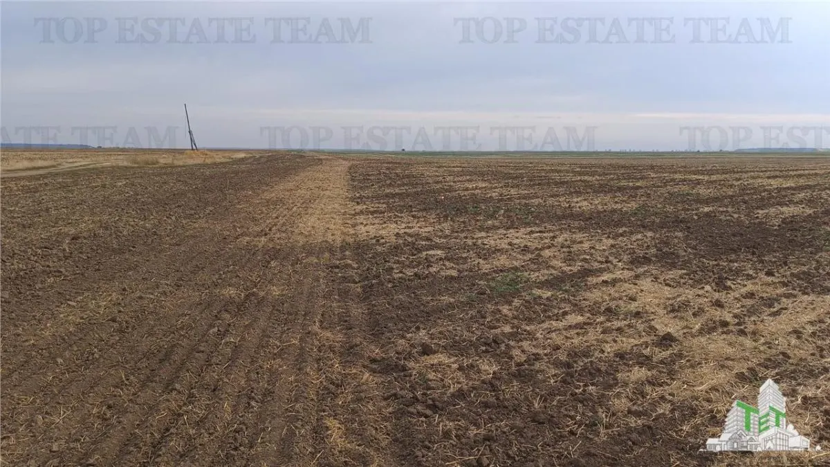 Six Parcelles Agricoles, Petrachioaia, Ilfov – 1,9€/m² - foto 10
