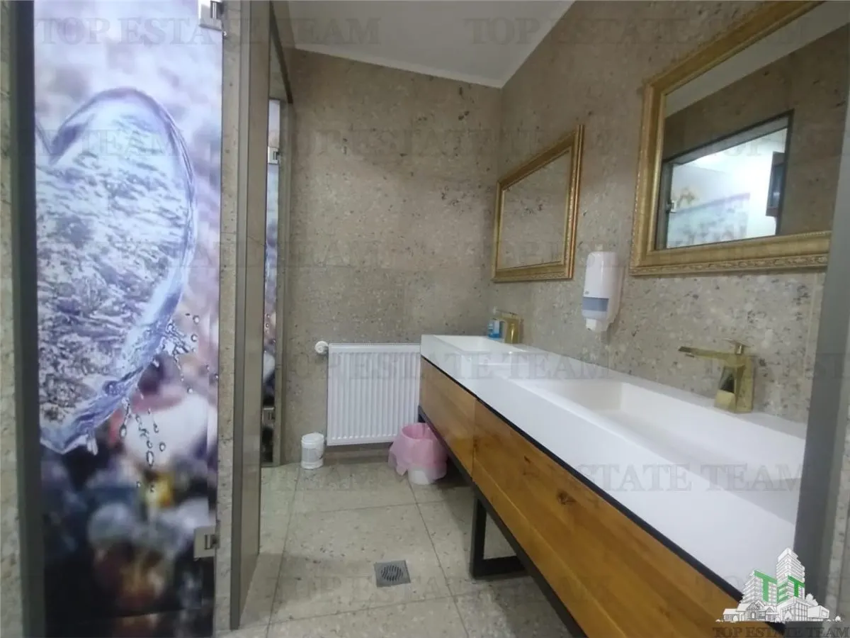 Modern Commercial Space, Basement Level, 262 sqm, Separate Entrance, Oltenitei, Popesti Leordeni - foto 6