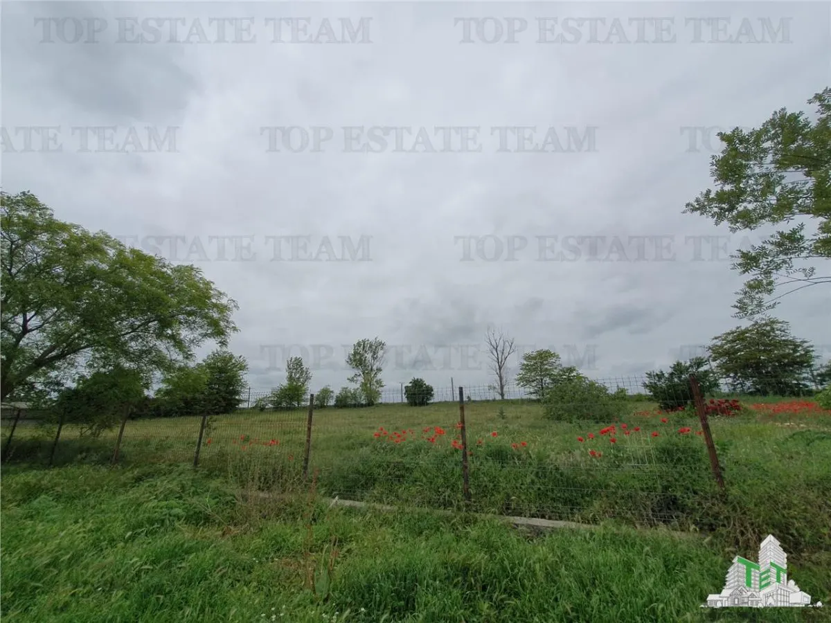 Exceptional Villa with Generous Land in Casicea, Constanța - foto 17