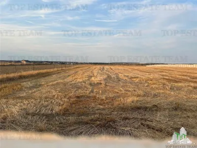 Building Land 2,500 sqm Balaceanca - foto 2