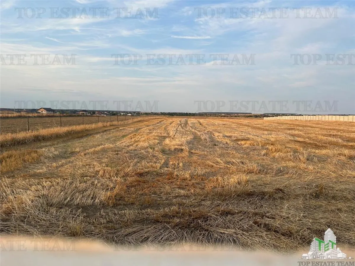 Building Land 2,500 sqm Balaceanca - foto 2