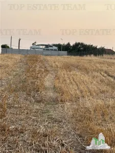 Building Land 2,500 sqm Balaceanca - foto 5