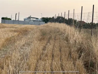 Building Land 2,500 sqm Balaceanca - foto 6