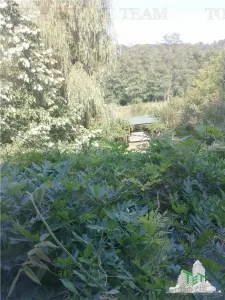 House / villa for sale 125 sqm in Bucuresti, Arcul de Triumf area - foto 15