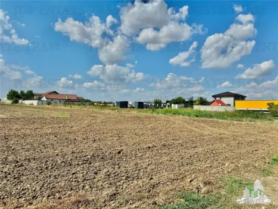 Terrain à Vendre à Frumusani - 2 500 m² - Frumusani