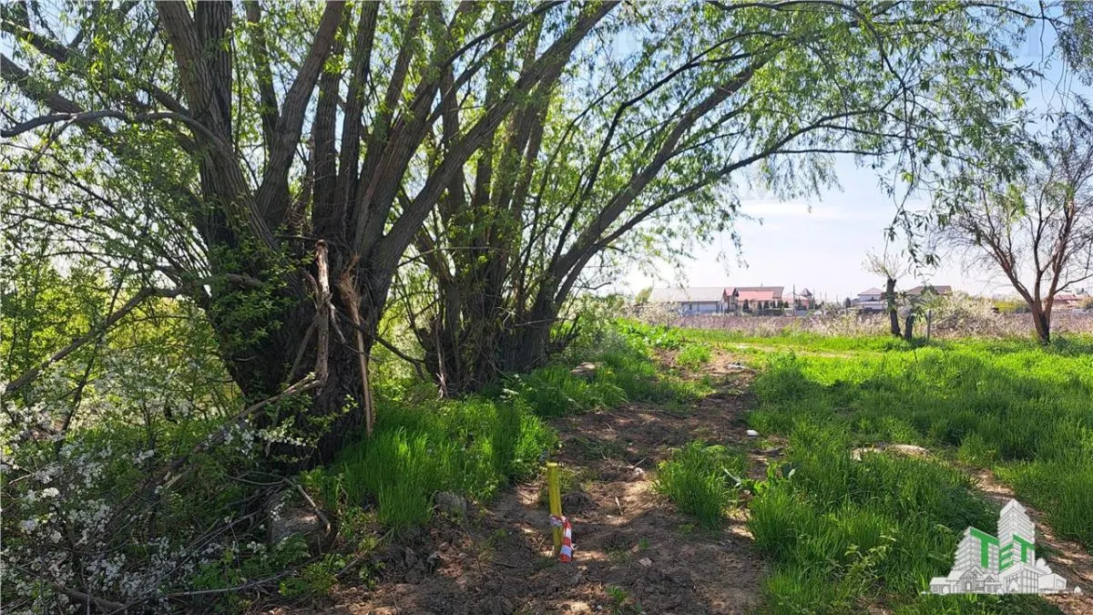 1,171 sqm Plot, Palanca, Near Sabar River - foto 1