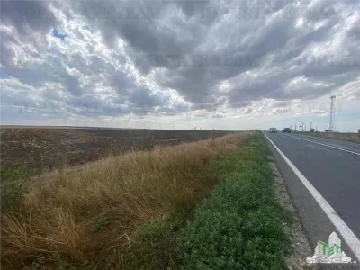 Development Land in Mihail Kogalniceanu, Constanta - Mihail Kogalniceanu