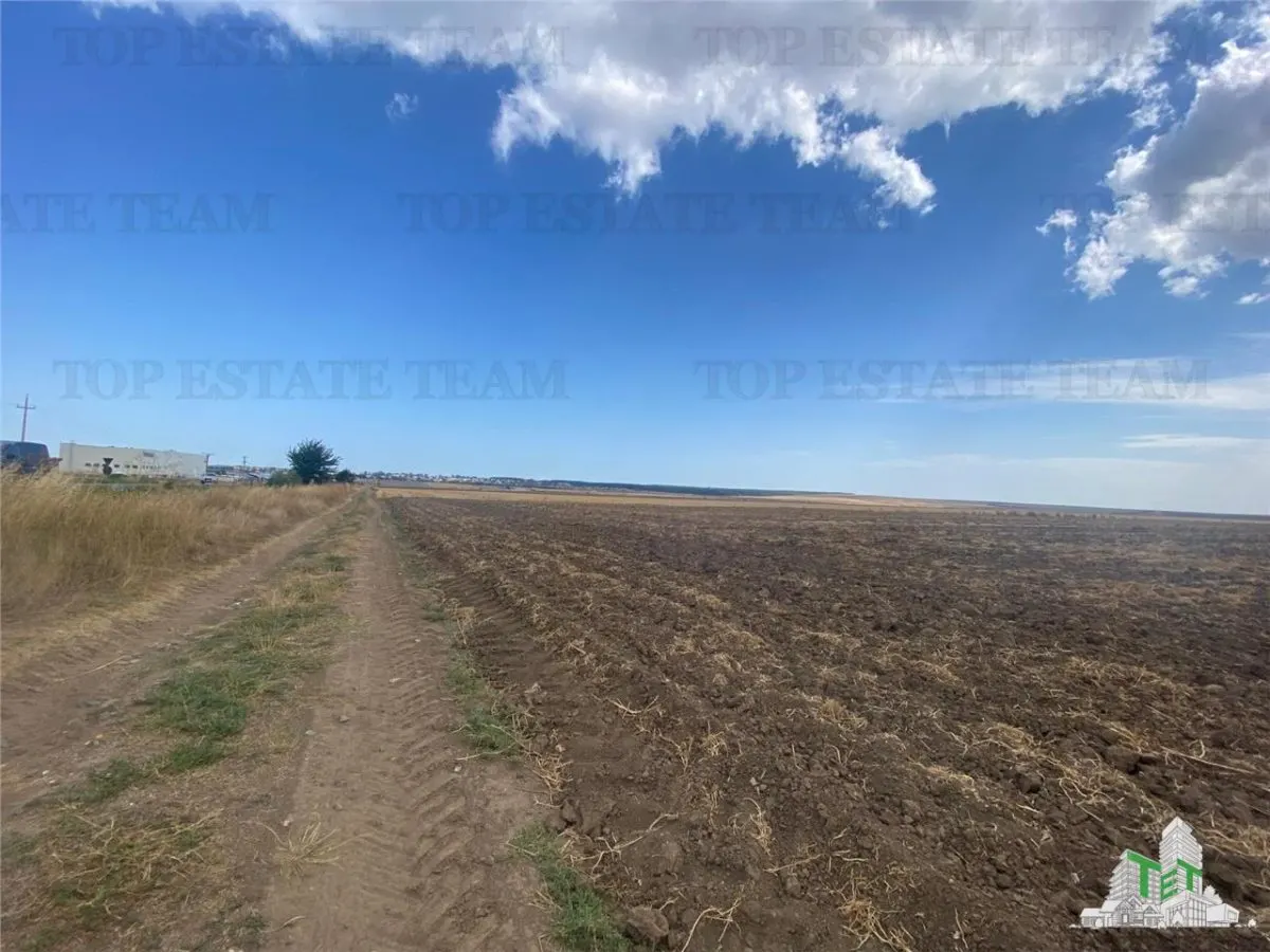 Terreno en Mihail Kogalniceanu, Constanta - foto 5