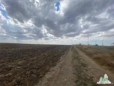 Terreno en Mihail Kogalniceanu, Constanta - foto 6