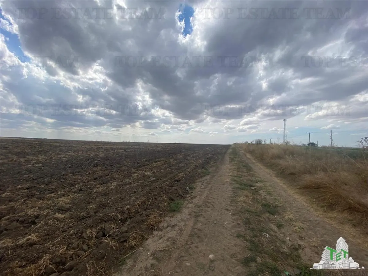 Terreno en Mihail Kogalniceanu, Constanta - foto 6