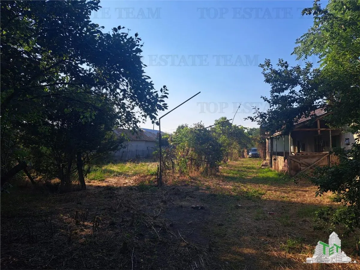 House with 3579 sqm of land in Cascioarele village, Giurgiu County Formuleaz? o solicitare c?tre ChatGPT - foto 1