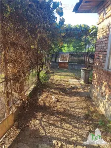 House with 3579 sqm of land in Cascioarele village, Giurgiu County Formuleaz? o solicitare c?tre ChatGPT - foto 2
