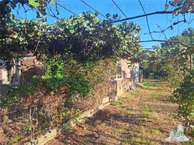 House with 3579 sqm of land in Cascioarele village, Giurgiu County Formuleaz? o solicitare c?tre ChatGPT - foto 3