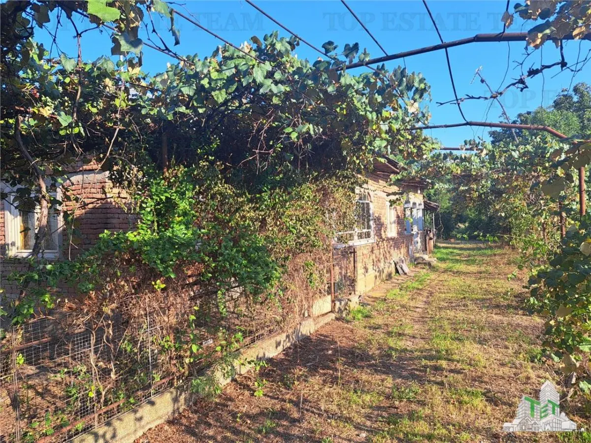 House with 3579 sqm of land in Cascioarele village, Giurgiu County Formuleaz? o solicitare c?tre ChatGPT - foto 3