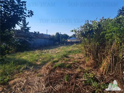 House with 3579 sqm of land in Cascioarele village, Giurgiu County Formuleaz? o solicitare c?tre ChatGPT - foto 4