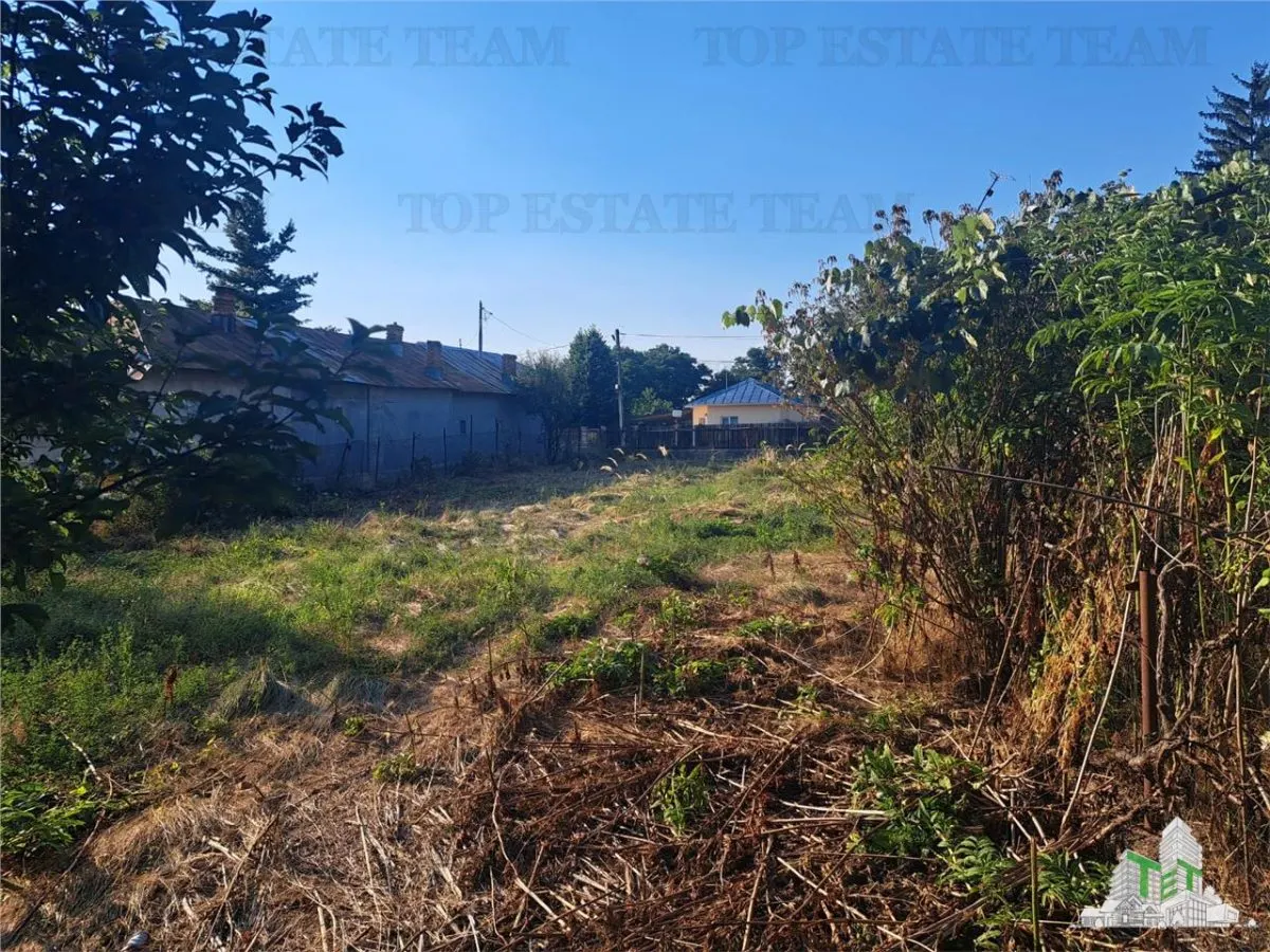 House with 3579 sqm of land in Cascioarele village, Giurgiu County Formuleaz? o solicitare c?tre ChatGPT - foto 4