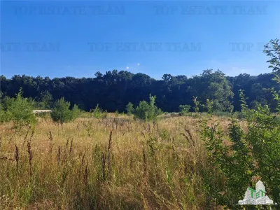 House with 3579 sqm of land in Cascioarele village, Giurgiu County Formuleaz? o solicitare c?tre ChatGPT - foto 5