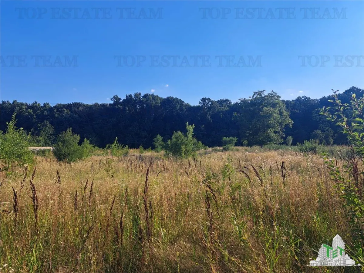 House with 3579 sqm of land in Cascioarele village, Giurgiu County Formuleaz? o solicitare c?tre ChatGPT - foto 6