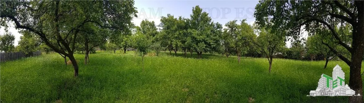 أرض سكنية في كامبولونج - 2.957 متر مربع مع بستان وملحق ومرافق - foto 2