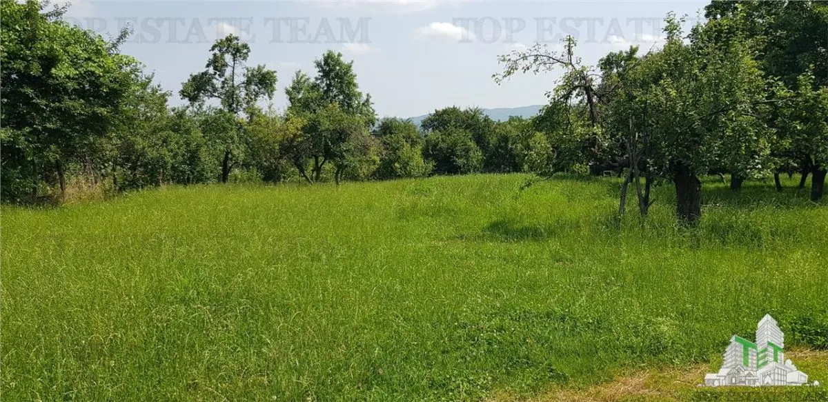 أرض سكنية في كامبولونج - 2.957 متر مربع مع بستان وملحق ومرافق - foto 3