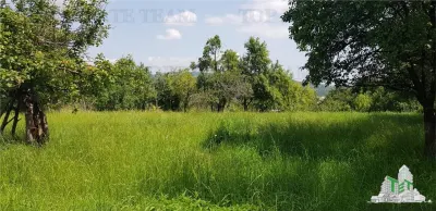 أرض سكنية في كامبولونج - 2.957 متر مربع مع بستان وملحق ومرافق - foto 4