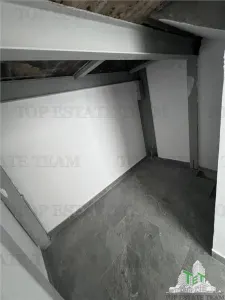 Halle Industrielle, 1.024 m² Terrain, 421 m² Utiles, Panneaux Solaires 46kW, Domnești - foto 25