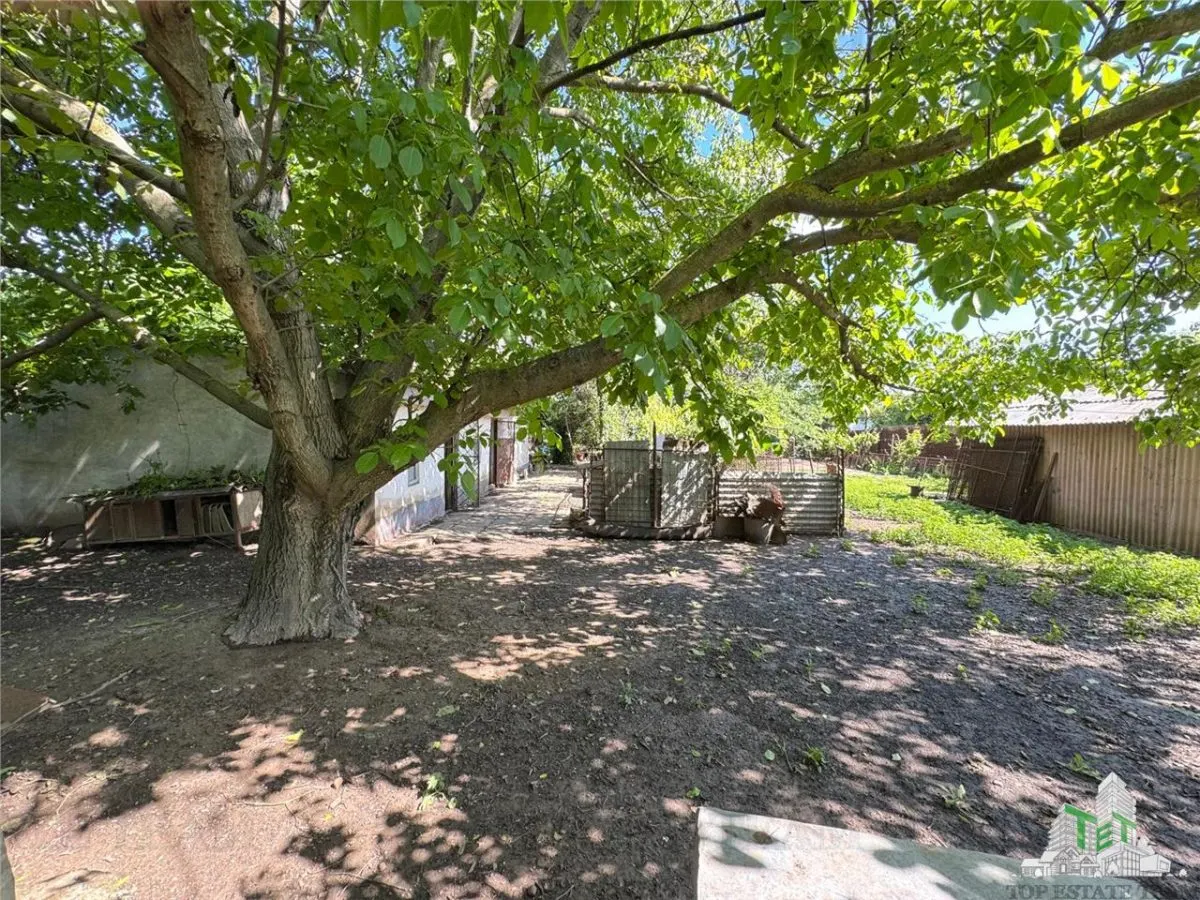 Maison à Vendre - Movilita, Département d'Ialomita - 2000 m² Terrain, Frontage Route Principale - foto 6