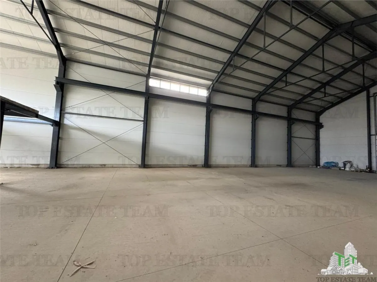 Entrepôt Industriel - Maracineni, Buzau - Vente - foto 8