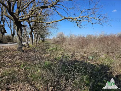 Terreno Urbanizado 24,100 m² Agigea - foto 5