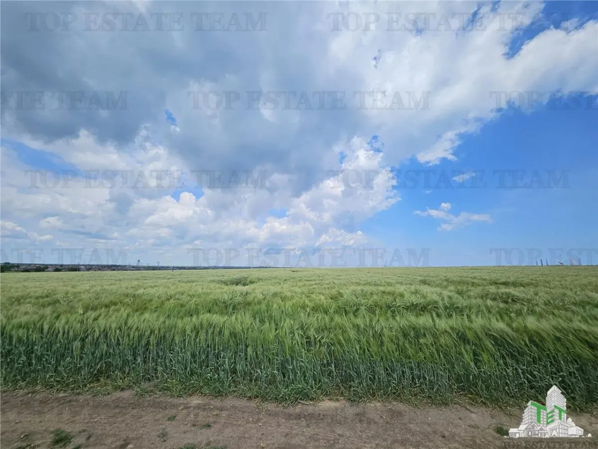 Terrain Urbain 50.000 m² Agigea Zone Ro Ro - foto 2
