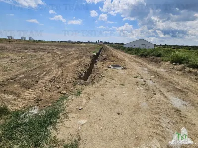 Terrain Urbain 50.000 m² Agigea Zone Ro Ro - foto 5