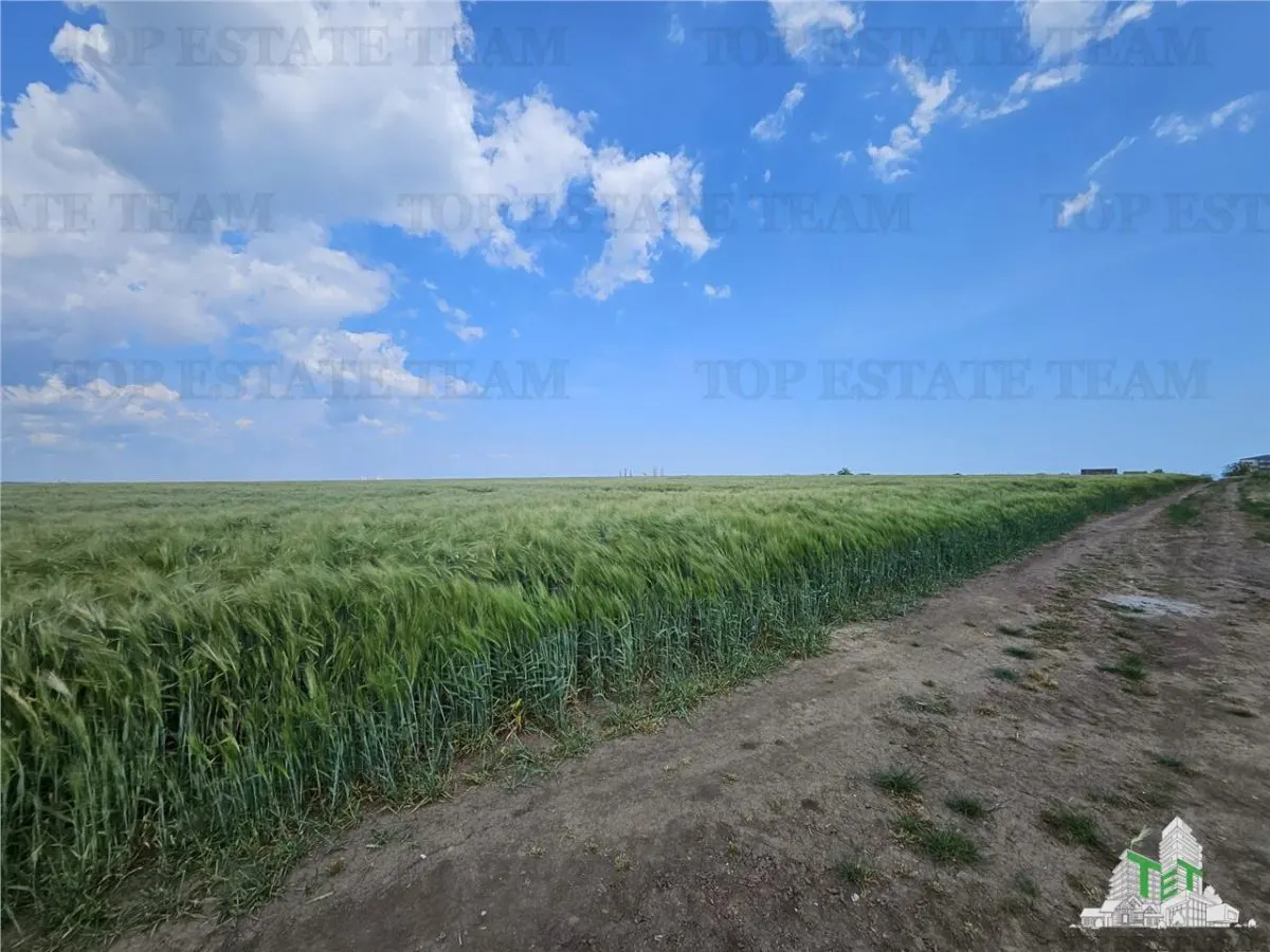 Terrain Urbain 50.000 m² Agigea Zone Ro Ro - foto 6