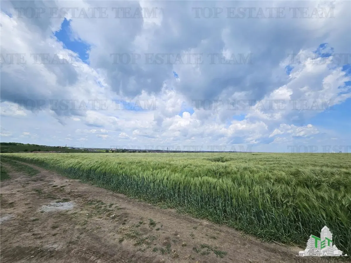 Terrain Urbain 50.000 m² Agigea Zone Ro Ro - foto 7