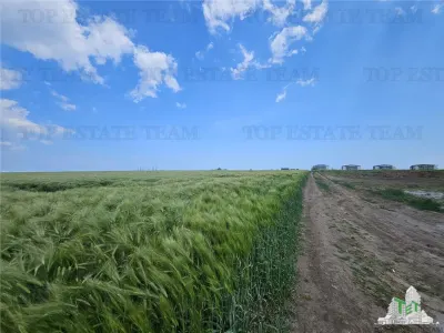 Terrain Urbain 50.000 m² Agigea Zone Ro Ro - foto 8