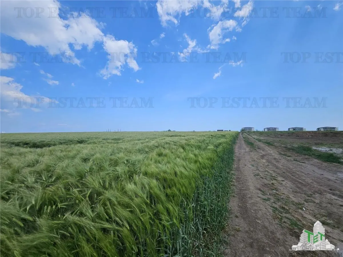 Terrain Urbain 50.000 m² Agigea Zone Ro Ro - foto 8
