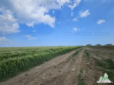 Terrain Urbain 50.000 m² Agigea Zone Ro Ro - foto 9