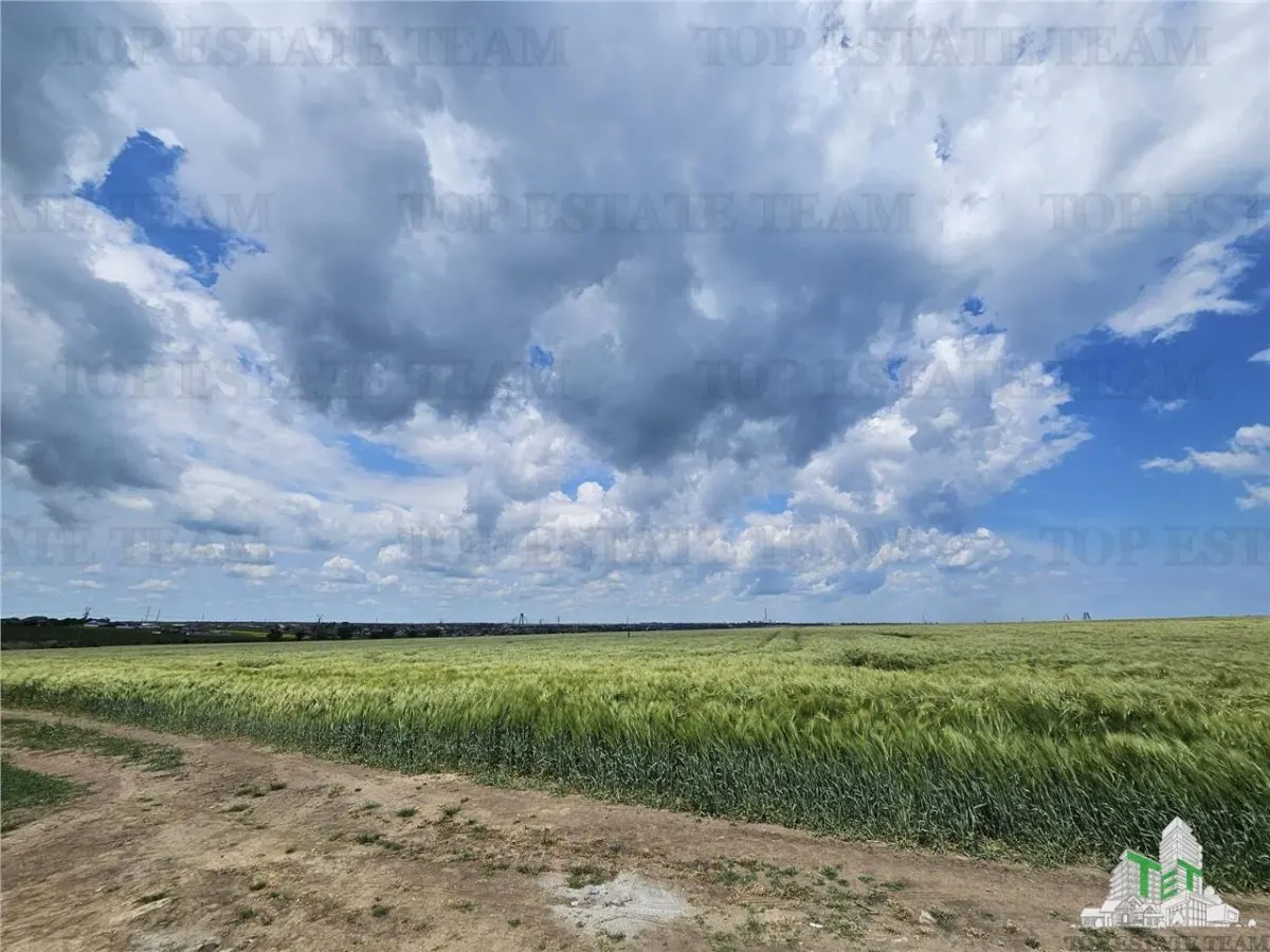 Terrain Urbain 50.000 m² Agigea Zone Ro Ro - foto 10