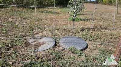 Residential Land 2431sqm with Planning Permission, Magurele, Ilfov - foto 2