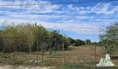 Residential Land 2431sqm with Planning Permission, Magurele, Ilfov - foto 3