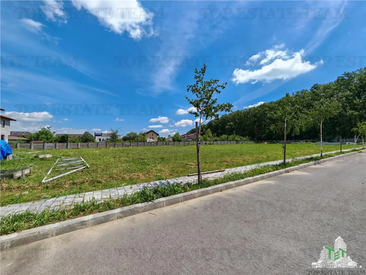 Development Land near Corbeanca Forest - foto 1