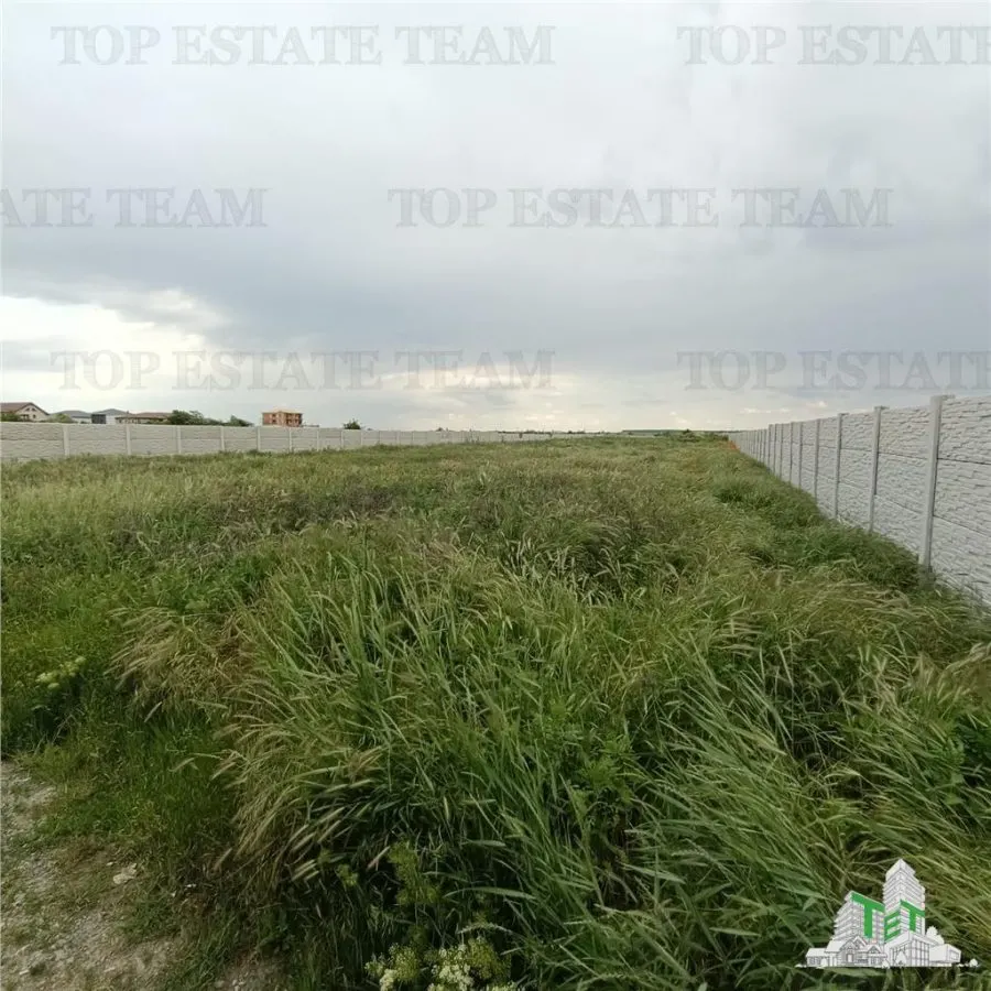 Buildable Land 10,562 sqm for Sale in Bragadiru - foto 7