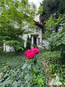 Lac Baneasa, Herastrau: Propiedad con Dos Villas y Apartamento - foto 6