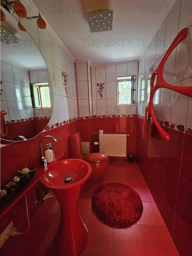 Villa de Lujo 5 Dormitorios con Jardín Excepcional, Centro Domnesti - foto 18