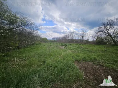 Building Land 3,846 m² Topraisar, Constanța - foto 2