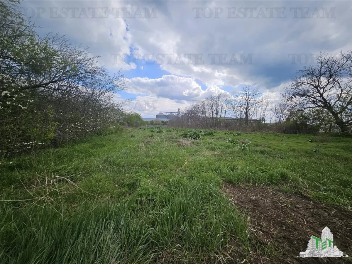 Building Land 3,846 m² Topraisar, Constanța - foto 2