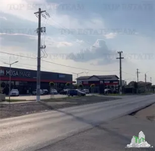 Roadside Land for Sale in Frumusani, Calarasi - Frumusani