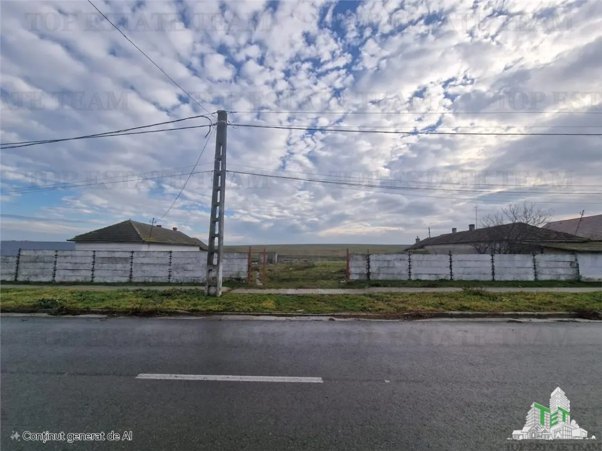 Development Land 4,500 m² Cogealac - foto 1