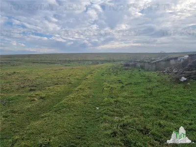 Development Land 4,500 m² Cogealac - foto 3